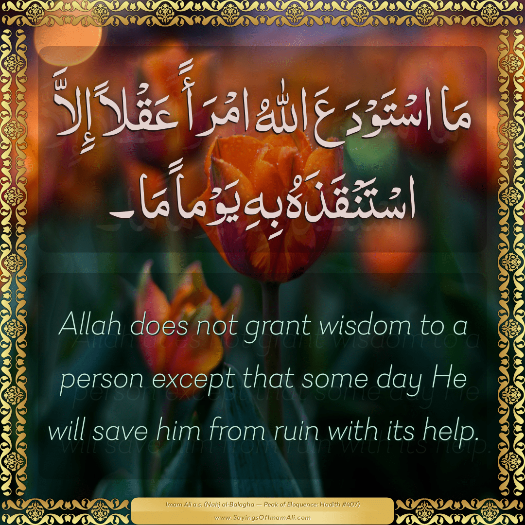 Allah does not grant wisdom to a person except that some day He will save...